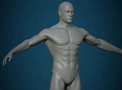 Image result for SL Mesh Body