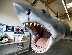 Image result for Real Shark in Jaws Filming