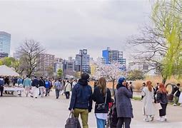 Image result for Ueno Park in Summer