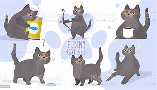 Image result for Funny Very Goood Cat Stickers