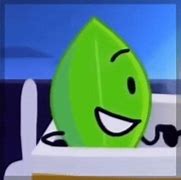 Image result for Leafy BFDI PFP