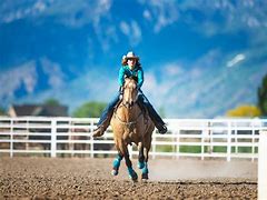 Image result for Paint Horse Barrel Racing