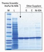 Image result for Ni-NTA Resin