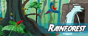 Image result for Robbie Cole Rainforest