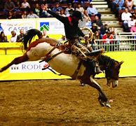 Image result for Sam Houston State University Rodeo Team