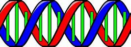 Image result for Double Helix Black and White