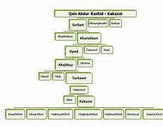 Image result for Pashtun Family Tree