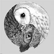 Image result for Wisdom Drawing