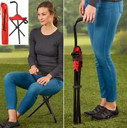 Image result for Best Walking Cane with Seat