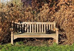 Image result for Cute Bench Art PFP