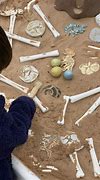 Image result for Prehistoric Toys Play Set