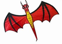 Image result for Davison Dragon Kite