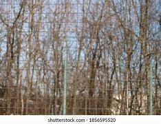 Image result for Thin Metal Wire