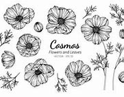 Image result for Cosmos Flower Logo