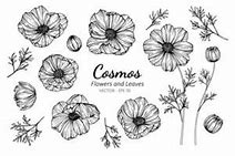 Image result for Cosmos Flower Logo