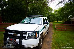 Image result for Park Ranger Truck with Claw Marks