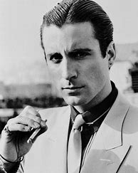 Image result for Andy Garcia Younger