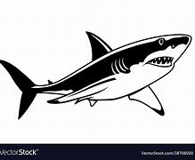 Image result for Shark with Headphones Black and White