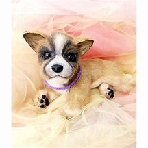 Image result for Chihuahua in Toy Oven