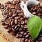 Image result for Kaffee Beans Portrait