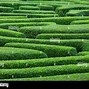 Image result for Maze From Above