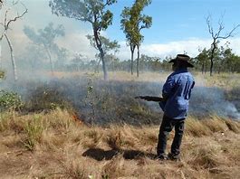 Image result for Aboriginal Fire