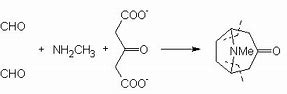 Image result for atropine synthesis