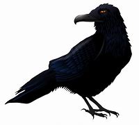 Image result for Crow Raven Clip Art