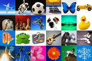 Image result for Windows XP User Account Icons