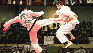 Image result for Karate vs Taekwondo