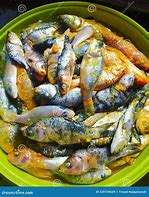 Image result for Koi Fish Food Teta4