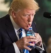 Image result for Lion Drinking Water Meme