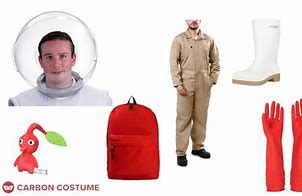 Image result for Olimar Costume