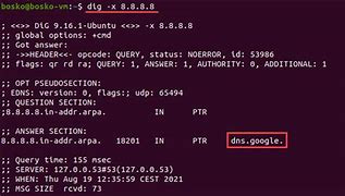 Image result for DNS Lookup