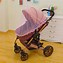 Image result for Baby Mosquito Net Stroller