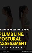 Image result for Postural Plumb Line