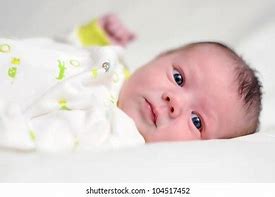 Image result for 6 Week Old Baby Images