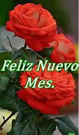 Image result for Feliz Nuevo Mes Fotos