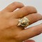 Image result for Turtle Age Ring