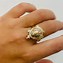 Image result for 14K Turtle Ring