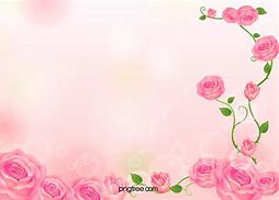 Image result for Fresh Pink Flowers