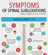 Image result for T12-L1 Back Pain