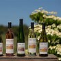 Image result for Truro Vineyards