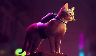 Image result for Stray PS4 Cat Family. Start