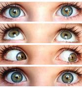 Image result for Eye Glimpse Photography