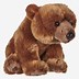 Image result for Bear 5