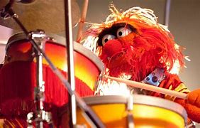 Image result for Animal Drummer