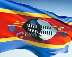 Image result for Swaziland Flag