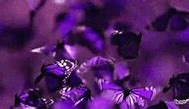 Image result for Purple Rose with Butterfly GIF