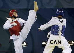 Image result for Korean Taekwondo